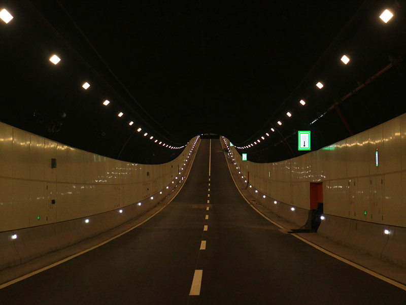 20230805381347.jpg 圖1.jpg