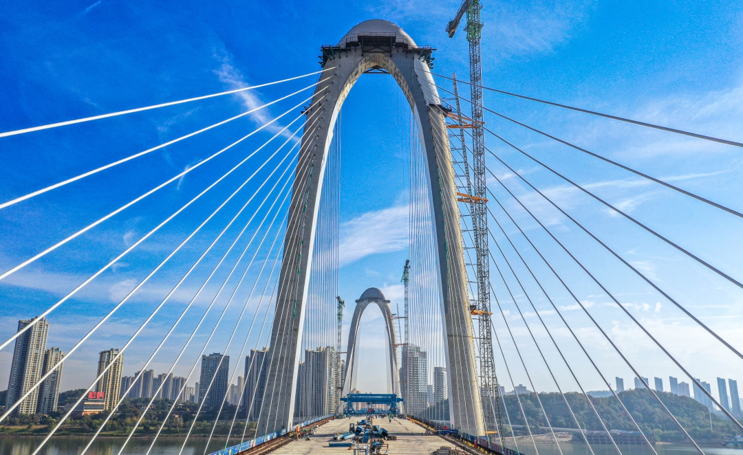 20241114914253.jpg 7.jpg